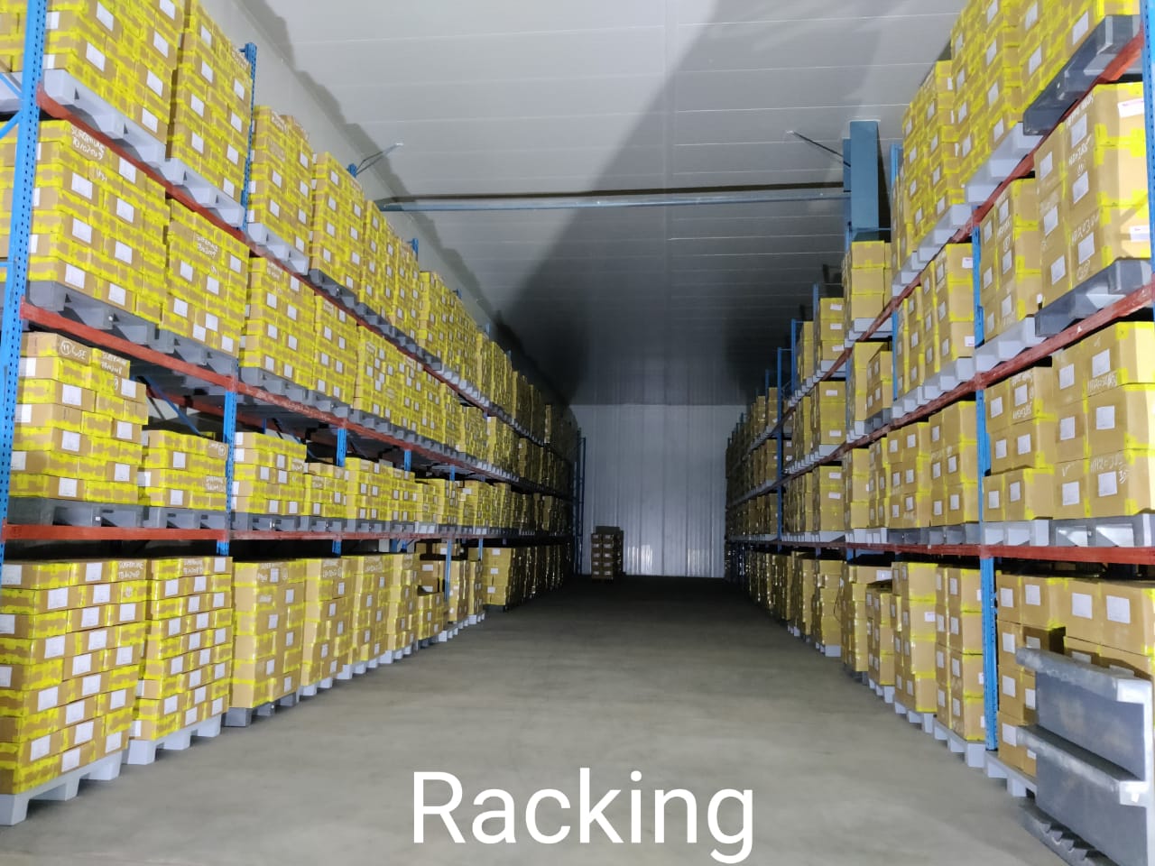 Interior High-Bay Racking & Insulated PUF Paneling